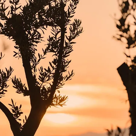 بيت للعطل Lea Mikri Vigla Naxos City