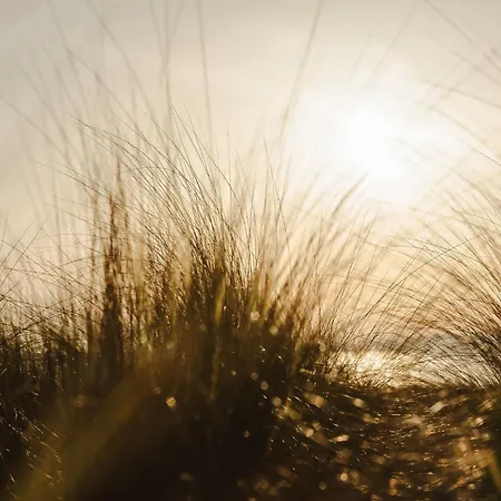 بيت للعطل Lea Mikri Vigla Naxos City